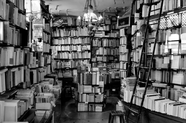 La casa dei libri di Beatrice Speranza.