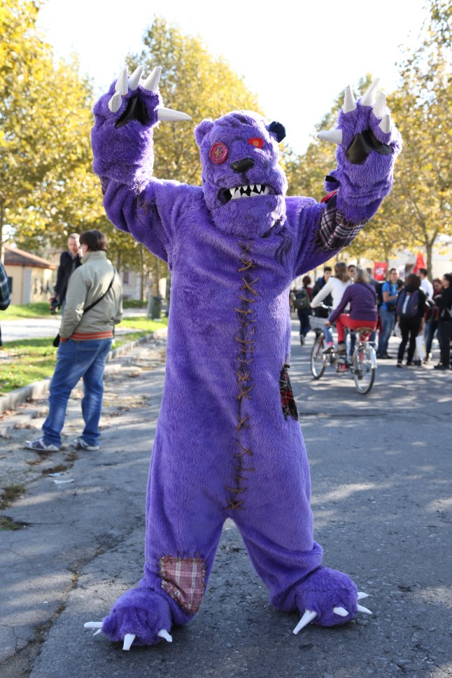 Fotografia Marcella Foccardi
