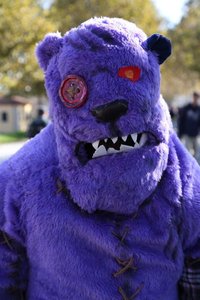 Fotografia Marcella Foccardi