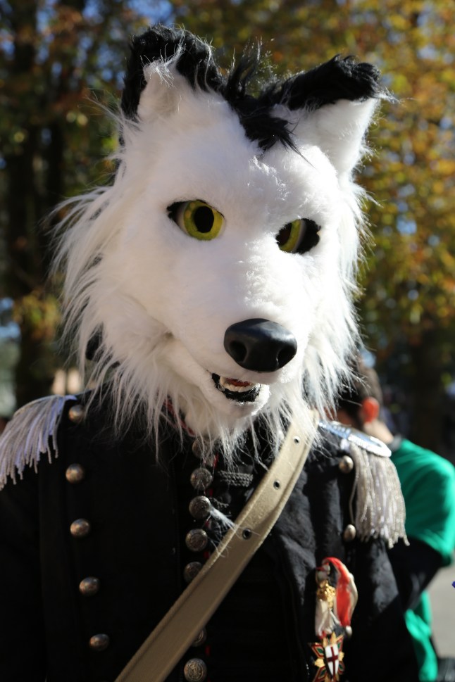 Fotografia Federica Zani