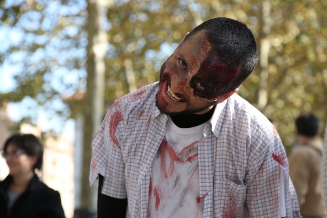 Fotografia Marcella Foccardi