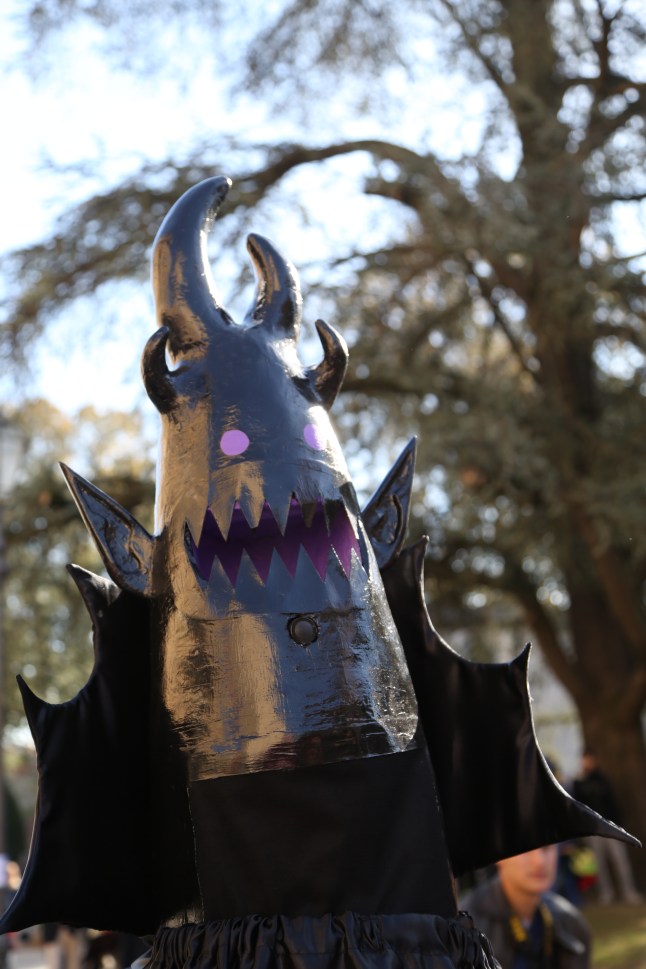 Fotografia Federica Zani